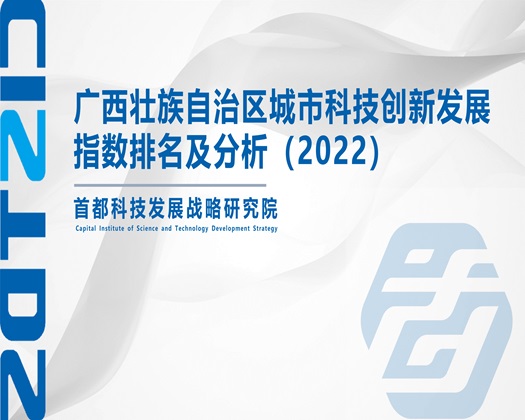 电影操逼逼【成果发布】广西壮族自治区城市科技创新发展指数排名及分析（2022）